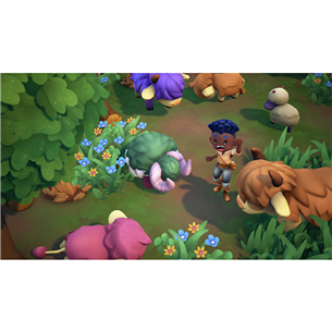 Fae Farm, Nintendo Switch - Игра