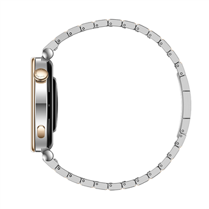 Huawei Watch GT4, 41 mm, roostevaba teras - Nutikell