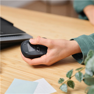 Trust Primo, Bluetooth, black - Wireless mouse