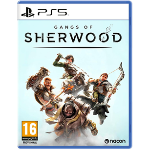 Gangs of Sherwood, PlayStation 5 - Mäng 3665962021851