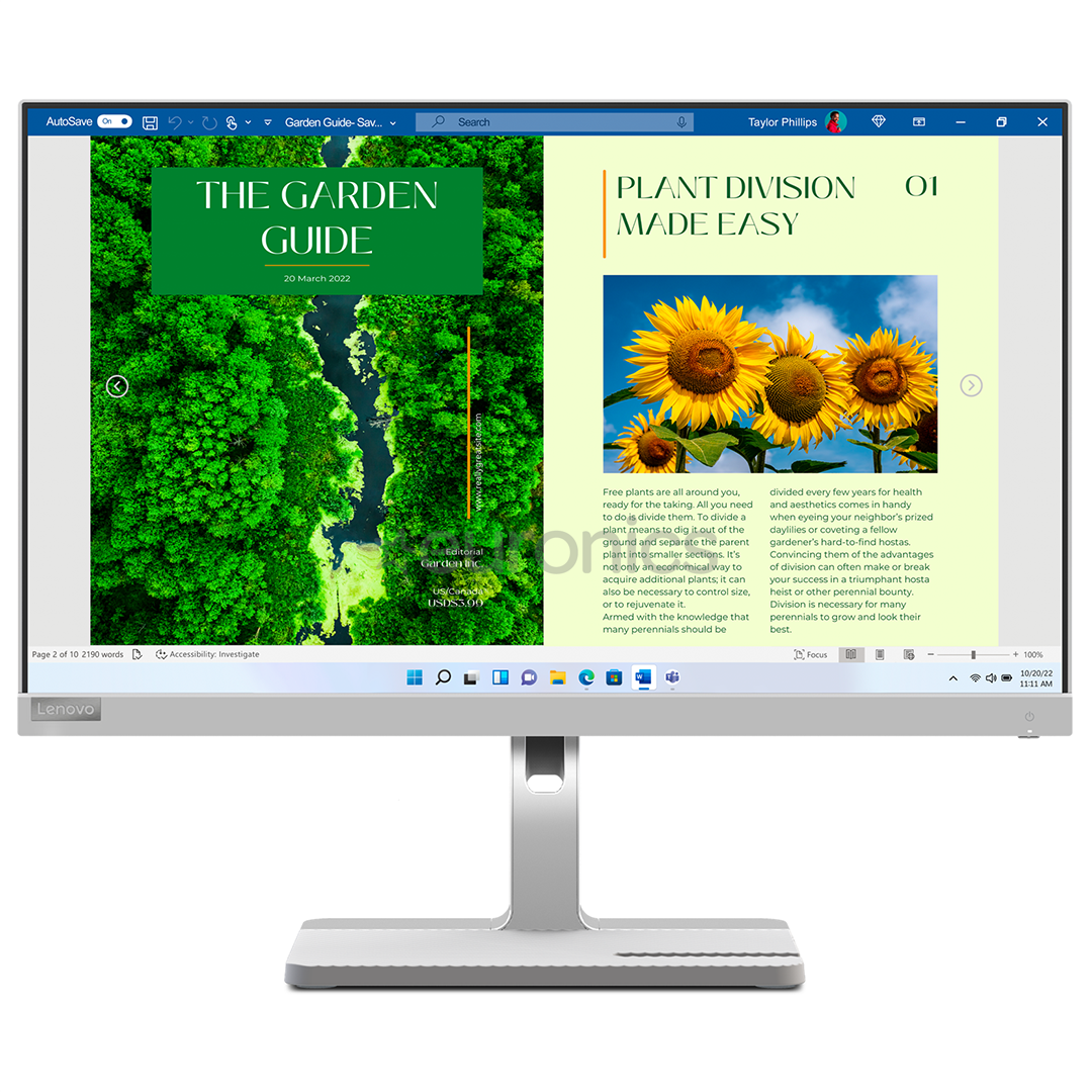 Lenovo L24m-40, 24'', FHD, LED IPS, 100 Гц, USB-C, серый - Монитор