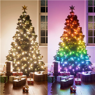 Nanoleaf Matter Smart Holiday String Lights, 250 LEDs, black - Smart Holiday Lights