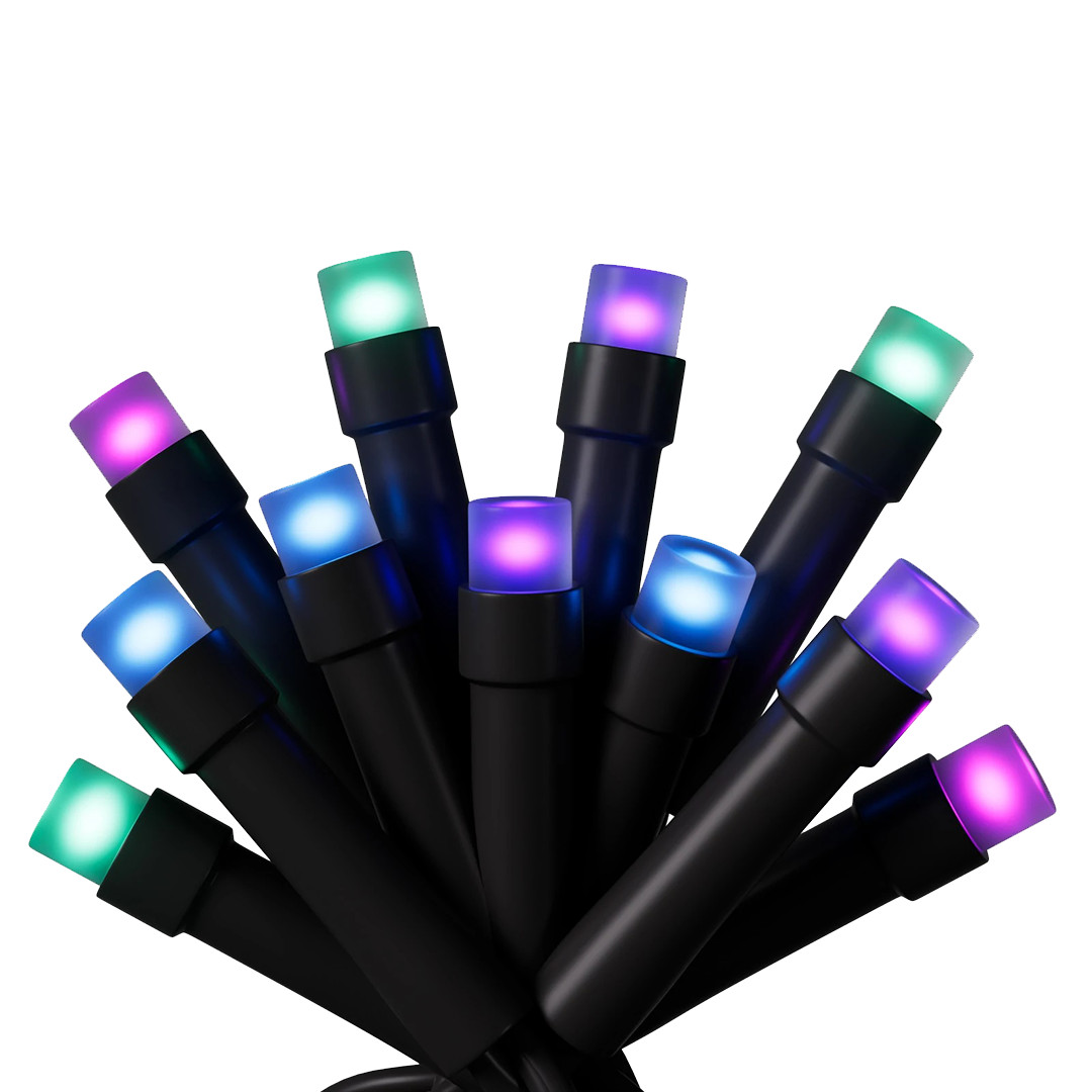 Nanoleaf Matter Smart Holiday String Lights, 250 LEDs, black - Smart Holiday Lights