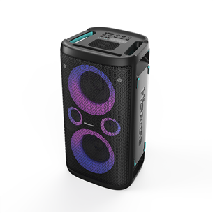 Hisense HP110 Plus Party Rocker One Plus, 2 microphones, black - Party speaker