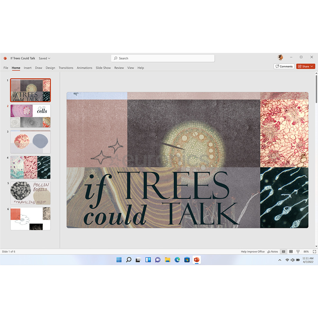 Microsoft 365 Family, 12 kuu tellimus, 6 kasutajat / 5 seadet, 1 TB OneDrive, ENG - Tarkvara