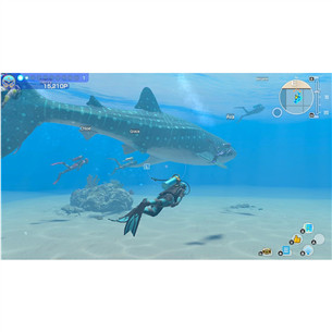 Endless Ocean: Luminous, Nintendo Switch - Mäng