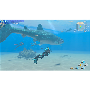 Endless Ocean: Luminous, Nintendo Switch - Mäng