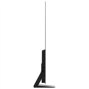 Samsung S92D, 48'', 4K UHD, OLED, gray - TV
