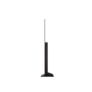 LG evo C4, 55'', 4K UHD, OLED, hall - Teler