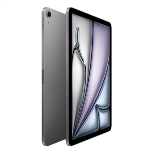 Apple iPad Air 11'' (2024), M2, 1 TB, WiFi, hall - Tahvelarvuti