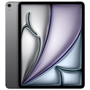 Apple iPad Air 13'' (2024), M2, 256 GB, WiFi + 5G, hall - Tahvelarvuti MV6V3HC/A