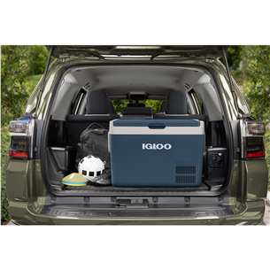 Igloo, 59 L, 12/24 V, sinine - Autokülmik
