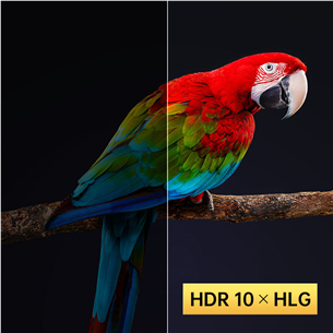 XGIMI Horizon DLP Smart Home Theater, 40-200", FHD, 1500 lm, hall - Koduprojektor