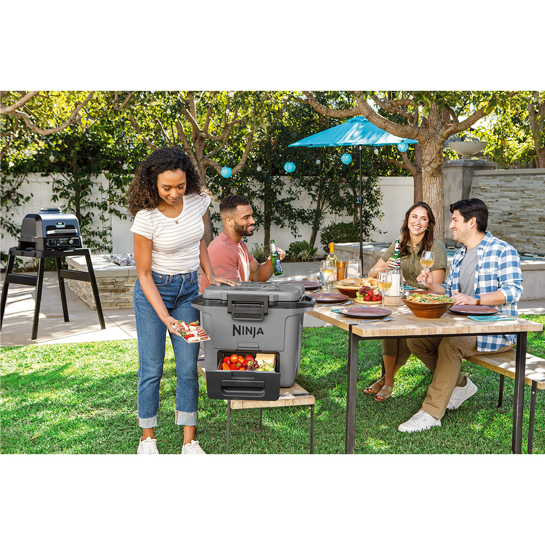 Ninja FrostVault, 28 L, hall - Jahutuskast