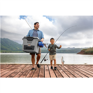 Ninja FrostVault, 28 L, hall - Jahutuskast