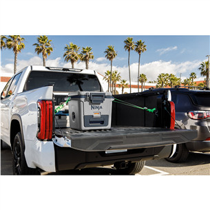 Ninja FrostVault, 28 L, hall - Jahutuskast