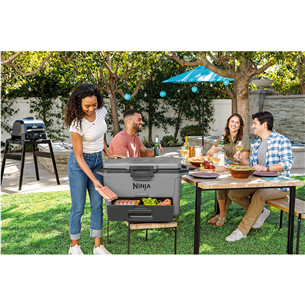 Ninja FrostVault, 47 L, hall - Jahutuskast