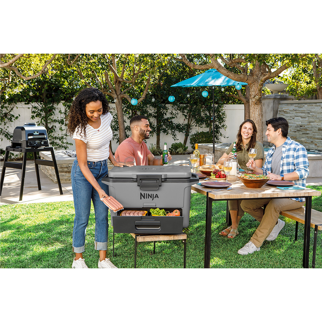 Ninja FrostVault, 47 L, hall - Jahutuskast