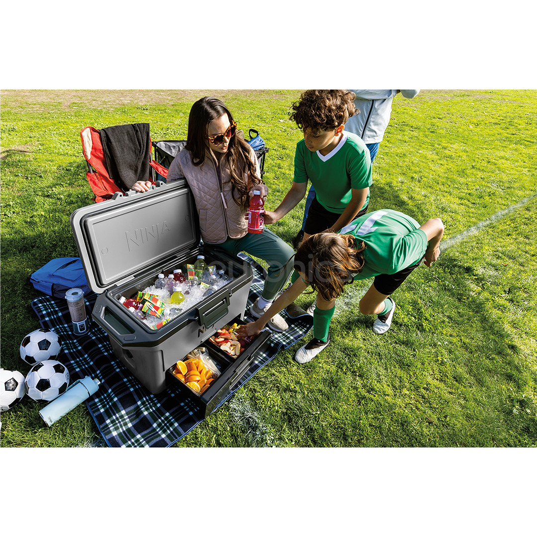 Ninja FrostVault, 47 L, hall - Jahutuskast