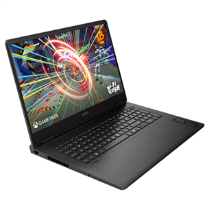 HP OMEN Laptop 17-db0031ny, 17,3'', FHD, Ryzen 7, 16 GB, 1 TB, black - Notebook