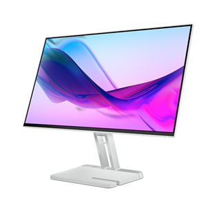Lenovo L24i-4A, 24'', FHD, IPS, 100 Гц, серый - Монитор
