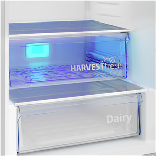 Beko, NeoFrost, 355 L, height 204 cm, dark inox - Refrigerator