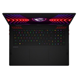 MSI Raider 18 HX A14V 20th Anniversary Bundle, 18'', 120 Гц, UHD+, Mini LED, i9, 32 ГБ, 1 ТБ, RTX 4070, черный - Комплект с ноутбуком