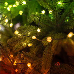 Twinkly Candies Stars, RGB, 100 LED, USB-C, 6 m, läbipaistev - Nutivalgusti