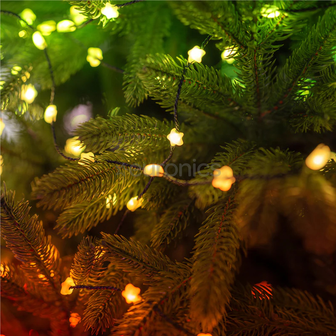 Twinkly Candies Stars, RGB, 100 LED, USB-C, 6 m, läbipaistev - Nutivalgusti