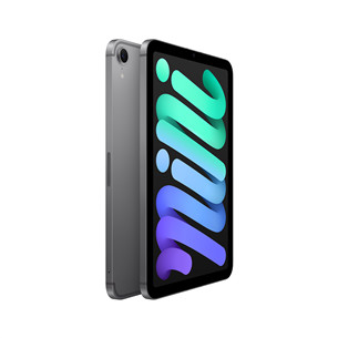 Apple iPad Mini (A17 Pro), 8,3'', 128 GB, WiFi + Cellular, hall - Tahvelarvuti
