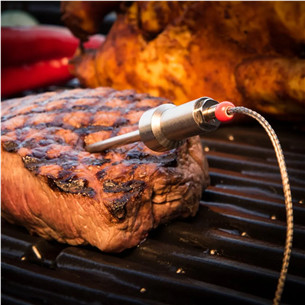 HerQs Probes - Зонды для измерения температуры