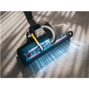 Miele Blizzard CX1 Cat & Dog Flex, 890 W, hall - Tolmuimeja