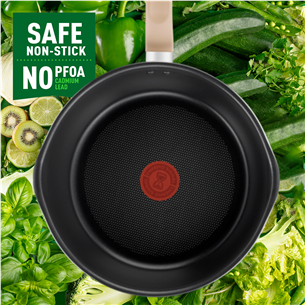 Tefal One pick pot pan, 24 cm, must - Sügav praepann