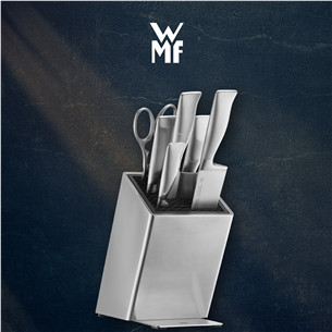 WMF FlexTec, roostevaba teras - Noaplokk