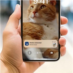 Philips 5000 Series, 4.5 L, tumehall - Nutikas lemmikloomasöötja kaameraga