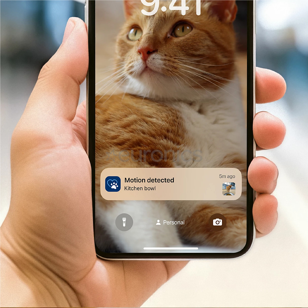 Philips 5000 Series, 4.5 L, tumehall - Nutikas lemmikloomasöötja kaameraga