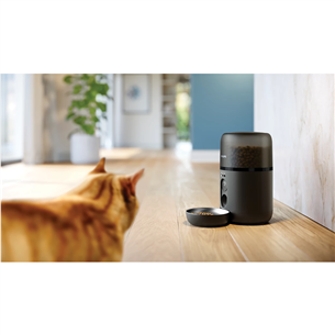 Philips 5000 Series, 4.5 L, tumehall - Nutikas lemmikloomasöötja kaameraga