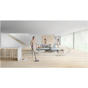 Dyson V8 Advanced, nickel/silver - Cordless vacuum cleaner