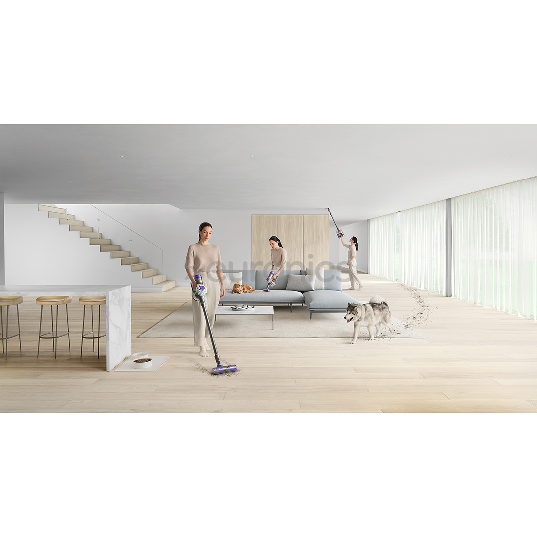 Dyson V8 Advanced, nickel/silver - Cordless vacuum cleaner