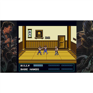 Double Dragon Collection Collector's Edition, Nintendo Switch - Mäng