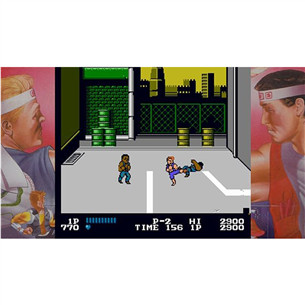 Double Dragon Collection Collector's Edition, Nintendo Switch - Mäng
