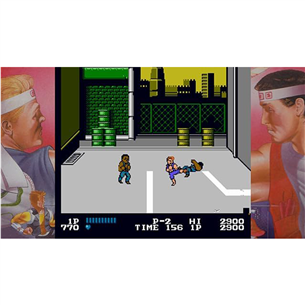 Double Dragon Collection Collector's Edition, Nintendo Switch - Mäng