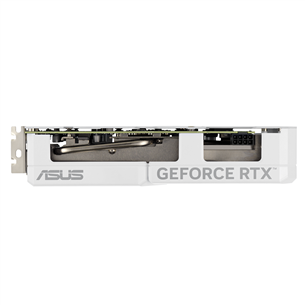 Asus, NVIDIA GeForce RTX 4060, 8 GB GDDR6, 128 bit - Graafikakaart