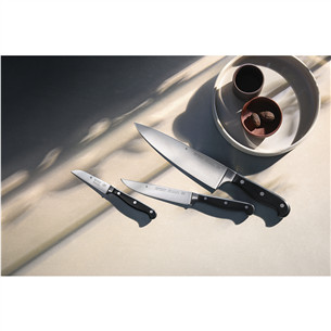 WMF Spitzenklasse Plus, 3 предмета - Набор кухонных ножей