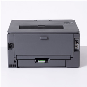 Brother HL-L2445DW, black - Laser printer