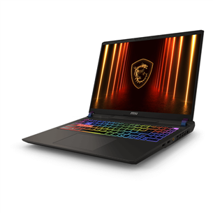 MSI Vector 16, 16'', 240 Hz, Ultra 9, 16 GB, 1 TB, RTX 5080, ENG, cosmos gray - Notebook