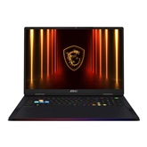 MSI Raider 18, 18'', UHD+, Mini-LED, 120 Гц, Ultra 9, 64 ГБ, 4 ТБ, RTX 5090, ENG, черный - Ноутбук
