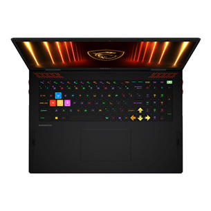 MSI Raider 18, 18'', UHD+, Mini-LED, 120 Гц, Ultra 9, 64 ГБ, 4 ТБ, RTX 5090, ENG, черный - Ноутбук
