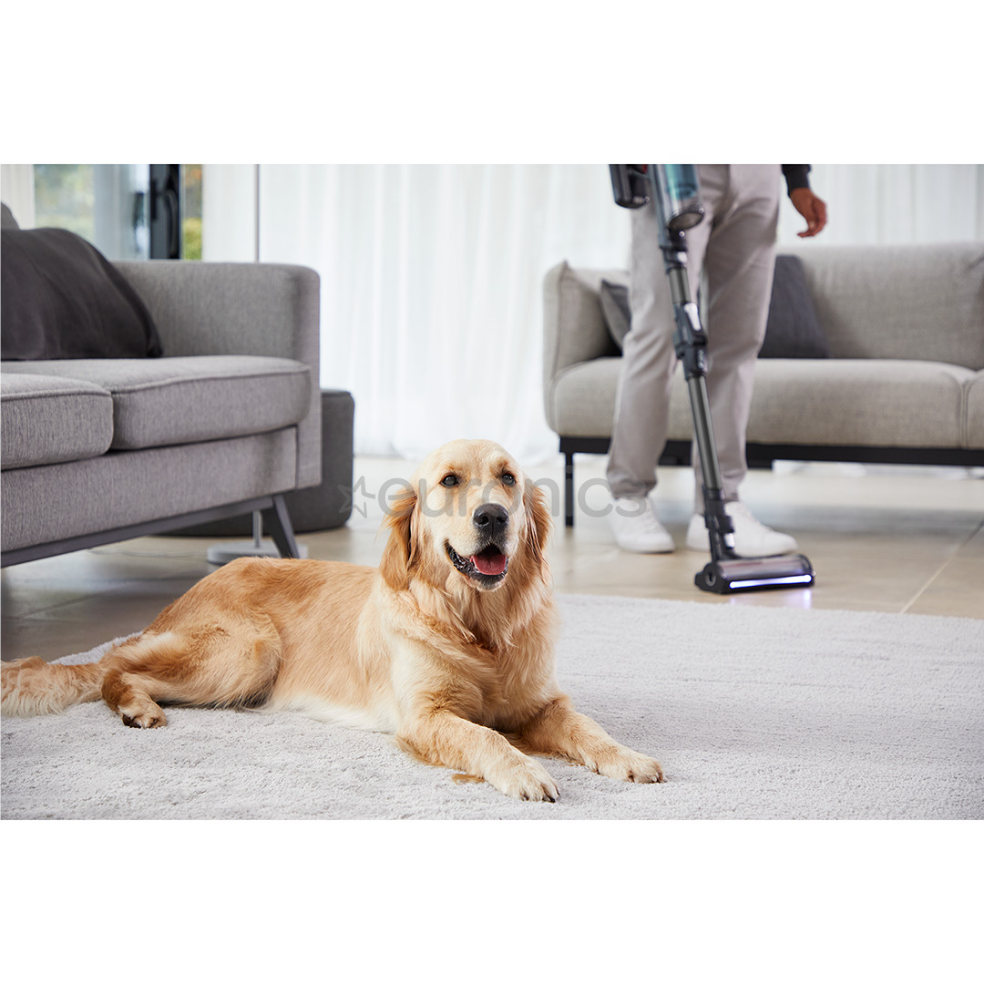 Tefal X-Force Flex 14.80, black/green - Cordless vacuum cleaner