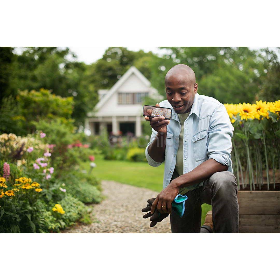 Philips Avent, valge - Beebimonitor